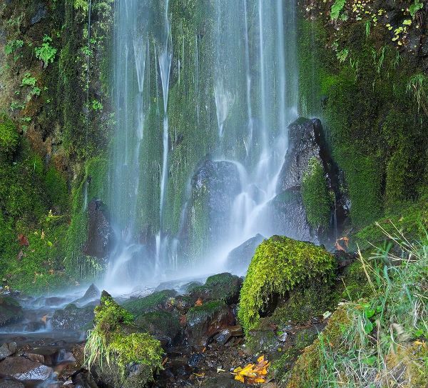 Wild, Jamie and Judy 아티스트의 Oregon-Columbia River Gorge National Scenic Area-Lancaster Falls작품입니다.